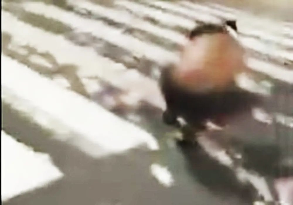  Pessoas recolhem dinheiro ap&oacute;s assalto em Crici&uacute;ma e s&atilde;o presas