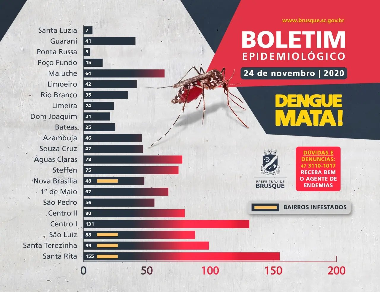 Brusque j&aacute; registrou 1.249 focos do mosquito Aedes aegypti
