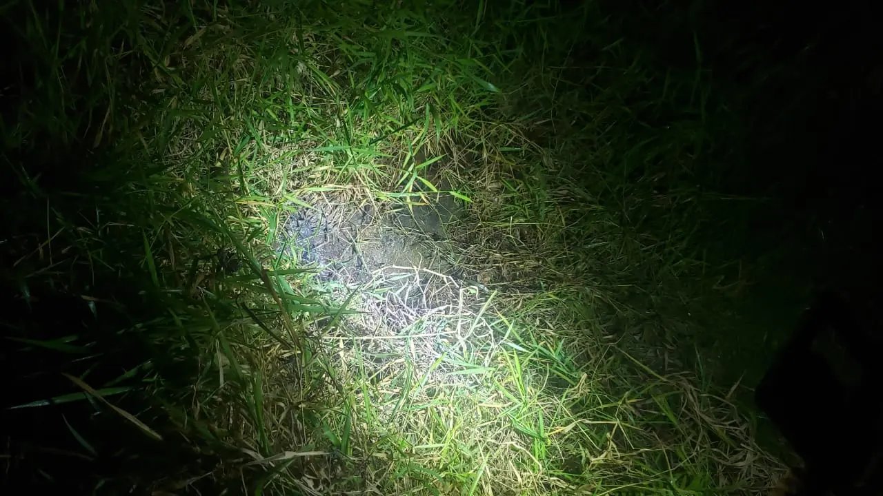 Corpo de homem &eacute; encontrado dentro de uma vala