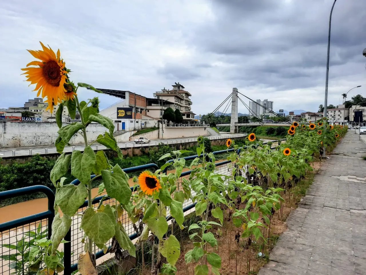 Brusque, uma cidade a cada dia mais sustent&aacute;vel