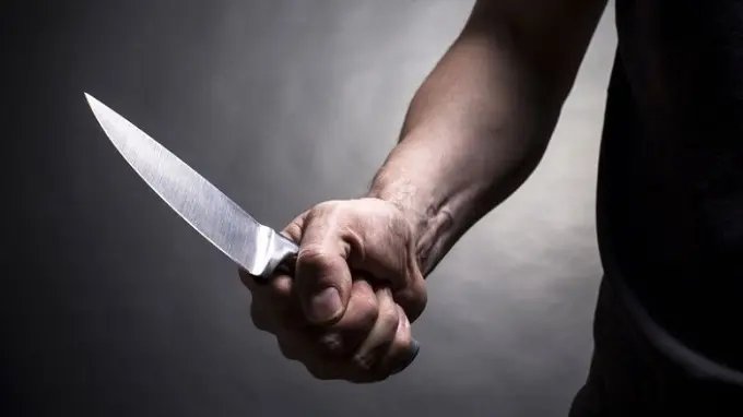 Menina de 13 anos tenta matar fam&iacute;lia a facadas