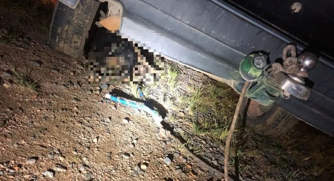 V&Iacute;DEO: Motorista arrasta cachorro amarrado em carro at&eacute; a morte em SC