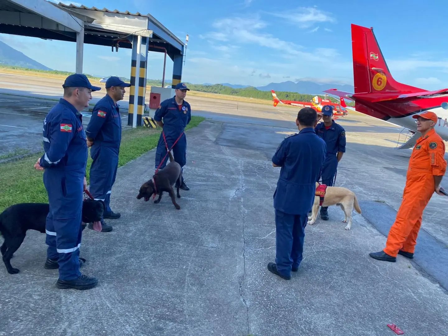 (V&iacute;deo) Com bombeiros de Brusque, segunda equipe de bombeiros de SC parte para Petr&oacute;polis