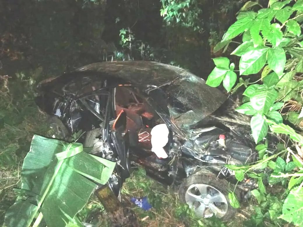 Idoso morre ao bater de carro contra &aacute;rvore na madrugada