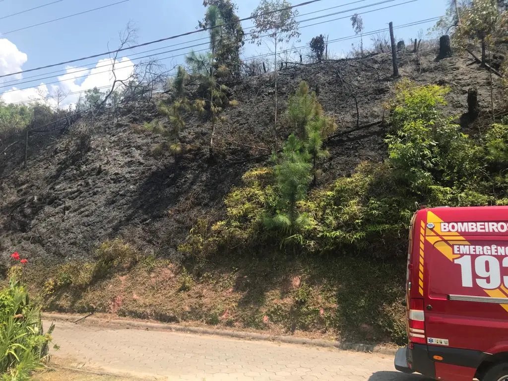&Aacute;rea de loteamento &eacute; atingida por inc&ecirc;ndio, em Guabiruba