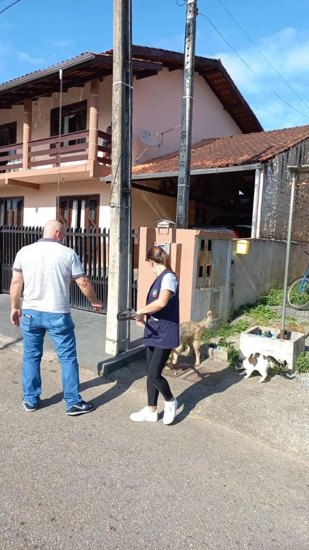 C&atilde;o recolhido no Dom Joaquim ser&aacute; encaminhado para doa&ccedil;&atilde;o