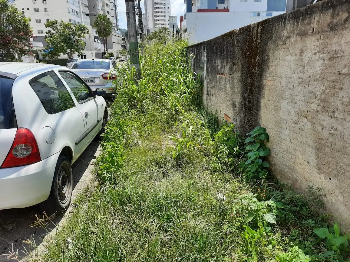 (V&iacute;deo) Comunidade reclama de mato sobre cal&ccedil;adas e Ibplan ressalta responsabilidade de propriet&aacute;rios 