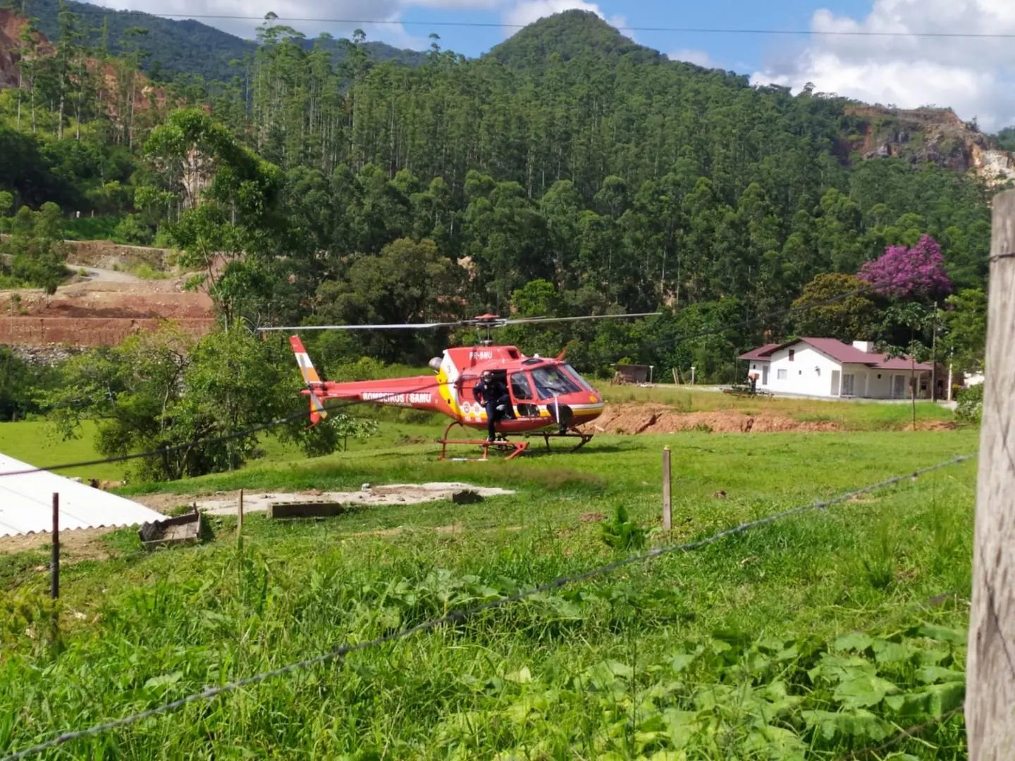 Homem &eacute; atingido por &aacute;rvore e &eacute; hospitalizado