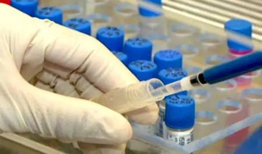 Novo medicamento é esperança de cura