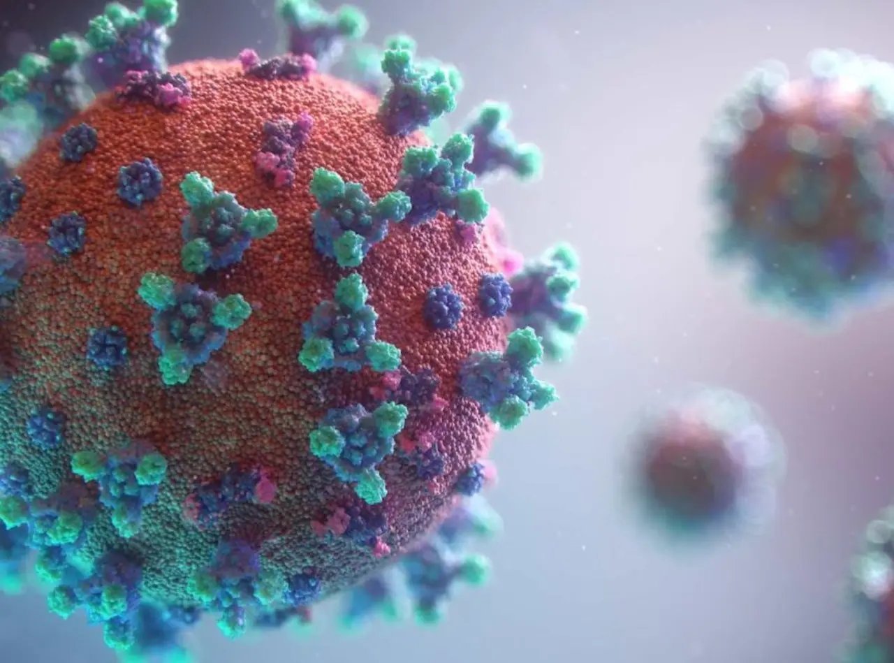 Brusque registra primeiro caso da variante &ocirc;micron