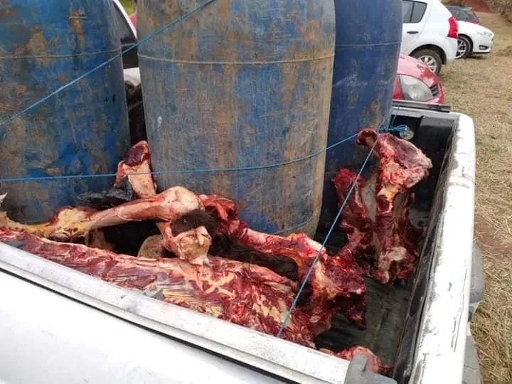 Dois homens s&atilde;o presos em Tubar&atilde;o ap&oacute;s vender carne de cavalo por boi