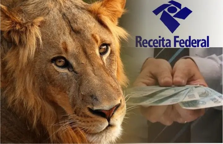 Receita libera consulta ao segundo lote