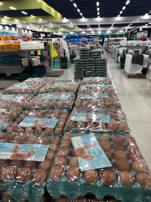 Havan de Brusque tem 1,2 milh&atilde;o de ovos de galinha para vender
