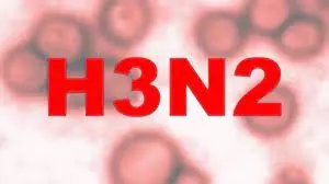 Primeiro caso de morte por H3N2 em SC &eacute; registrado em Brusque