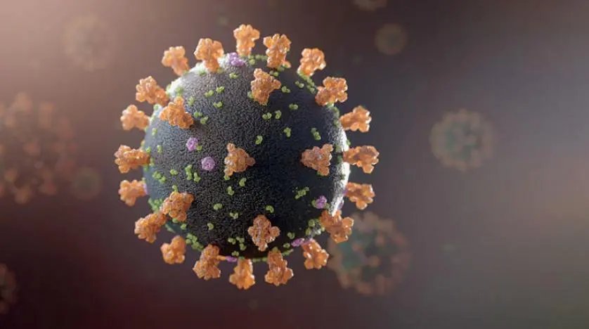Guabiruba confirma um caso de covid-19