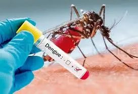 Novos casos de Dengue s&atilde;o registrados em Brusque
