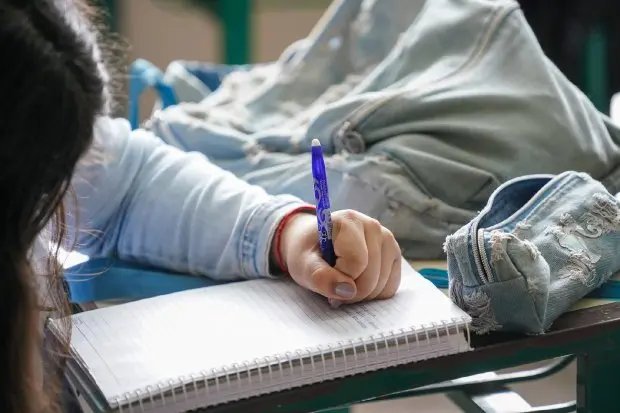Aux&iacute;lio financeiro para estudantes da rede estadual de Santa Catarina &eacute; aprovado na Alesc