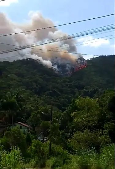 (V&iacute;deo) Inc&ecirc;ndio em vegeta&ccedil;&atilde;o &eacute; registrado no bairro Dom Joaquim