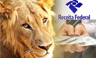 Receita abre consulta ao 1º lote de restituição 