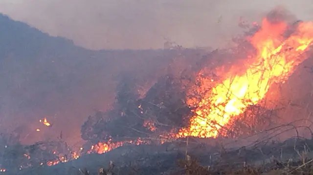 Vários registros de incêndio em vegetação