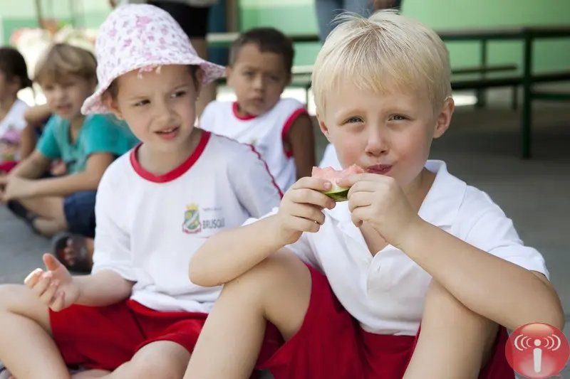 Merenda escolar é referência internacional