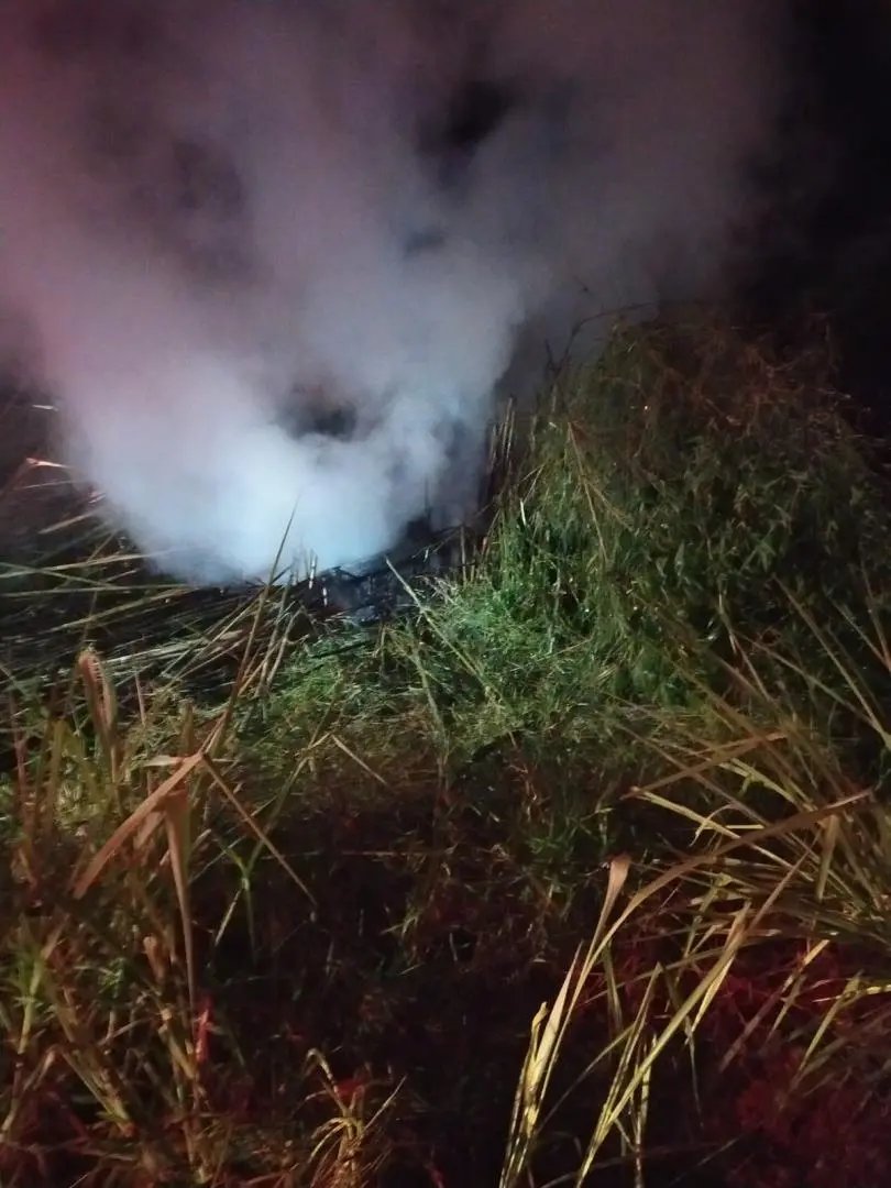 Vegeta&ccedil;&atilde;o pega fogo ap&oacute;s m&oacute;vel ser queimado nas proximidades 