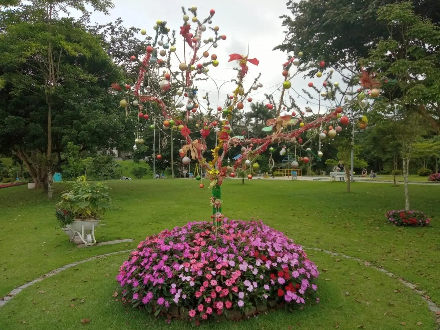 Beleza em clima natalino e de Primavera no Jardim Maluche