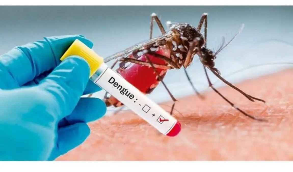 Casos de Dengue na cidade de Brusque chegam a 38