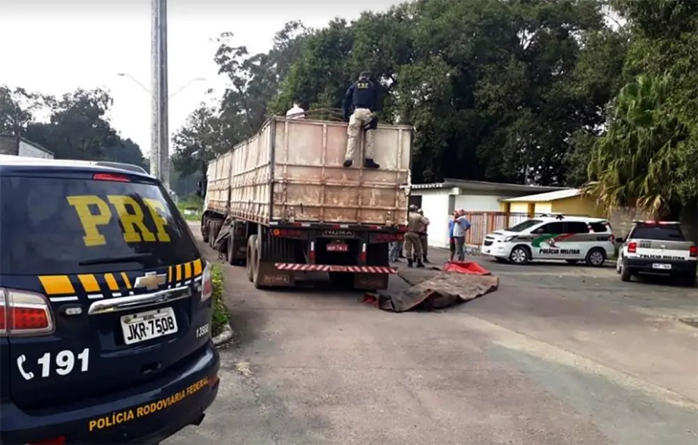 Ação policial conjunta faz maior apreensão de maconha de SC