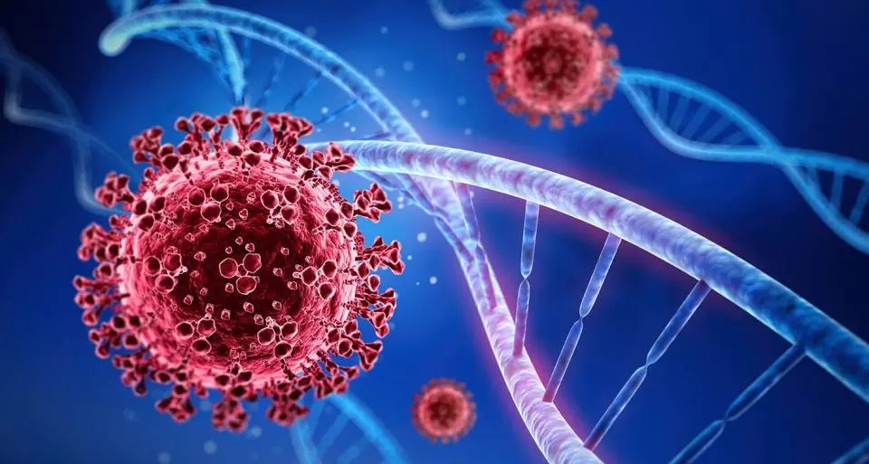 22 novos casos de Covid-19 foram registrados em Brusque 