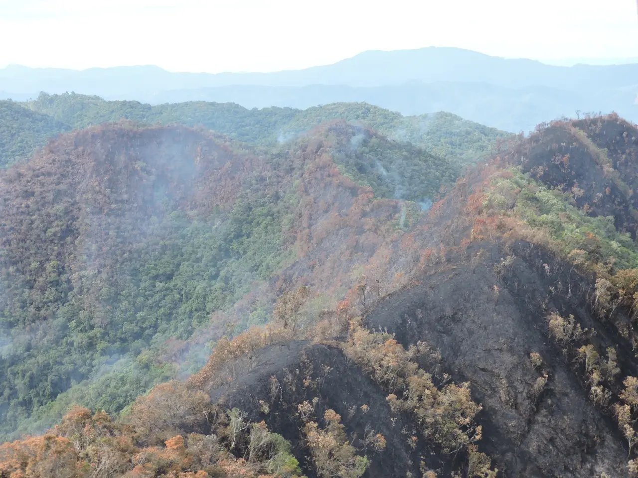 Inc&ecirc;ndio consome 65 hectares do parque em Guabiruba