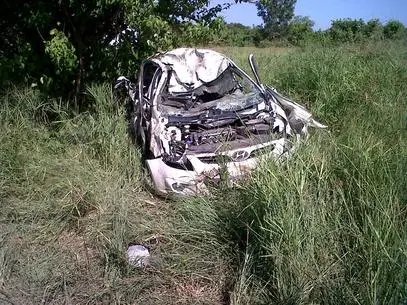 Casal é atacado por elefante na África