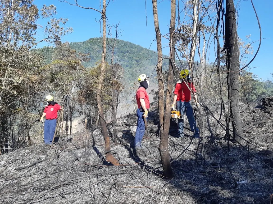 Inc&ecirc;ndio destroi oito mil metros de vegeta&ccedil;&atilde;o no Thomaz Coelho
