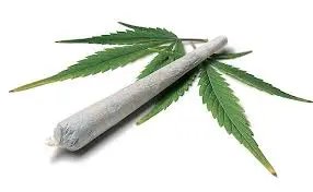 Marcha da maconha reúne milhares