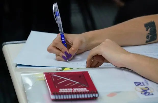 Ensino domiciliar &eacute; autorizado em SC 