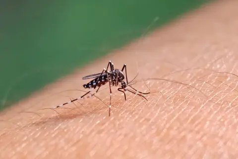 Brusque chega a 3247 casos confirmados de Dengue
