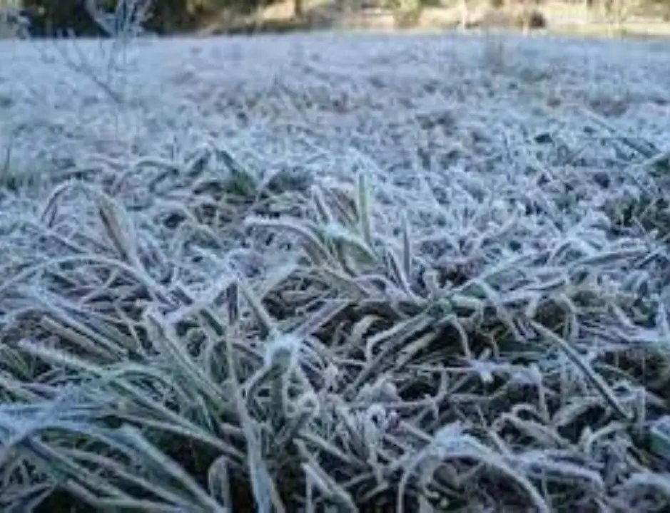 Nova onda de frio traz chance de neve a Santa Catarina