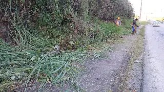 Secretaria de Obras realiza limpeza do trecho municipal da rodovia SC 486 - 2