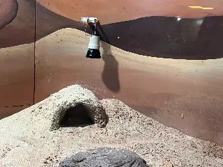 Conheça as ações que o Zoobotânico realiza com os animais durante o frio - 2