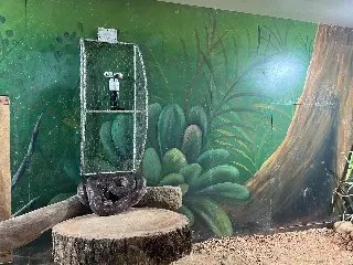 Conheça as ações que o Zoobotânico realiza com os animais durante o frio - 5