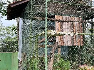Conheça as ações que o Zoobotânico realiza com os animais durante o frio - 6