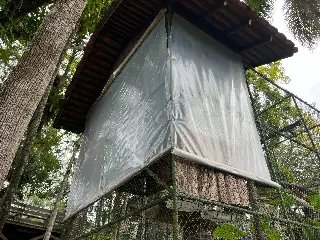 Conheça as ações que o Zoobotânico realiza com os animais durante o frio - 1