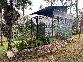 Conheça as ações que o Zoobotânico realiza com os animais durante o frio - 4