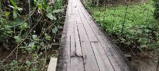(VÍDEO) Ponte pênsil está um perigo, dizem moradores - 4