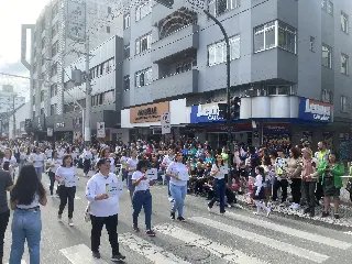 Milhares participam do desfile de aniversário de Brusque - 3