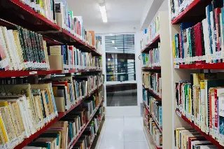 Biblioteca Pública de Brusque completa 59 anos de história - 10