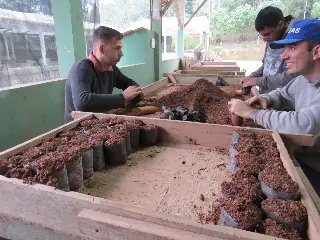 Horto florestal e o embelezamento de Brusque - 3