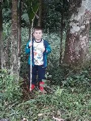 Um pequeno Pelznickel em Guabiruba - 2