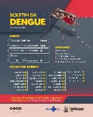 Saúde atualiza números da dengue em Brusque - 1