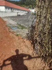 Muro desaba atrás da Arena Brusque, mas não deixa feridos - 3